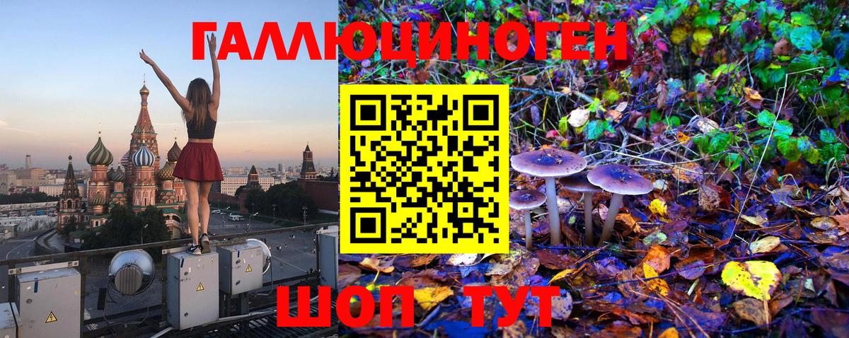 Майкоп  Псилоцибиновые грибы GOLDEN TEACHER  Вход с VPN 